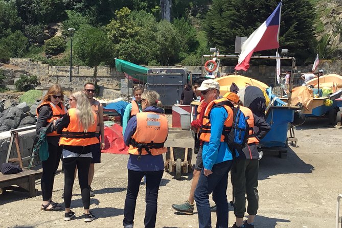 Fr VALPO: WILD PENGUINS, SEALION, SANDBOARD, PARAGLIDING & PICNIC - Why this day works so well from Valparaíso