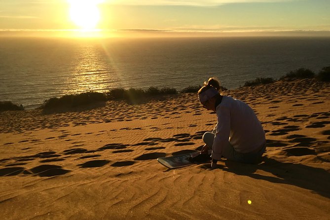 Fr VALPO: WILD PENGUINS, SEALION, SANDBOARD, PARAGLIDING & PICNIC - Zapallar, Cachagua, and the boat to the penguins