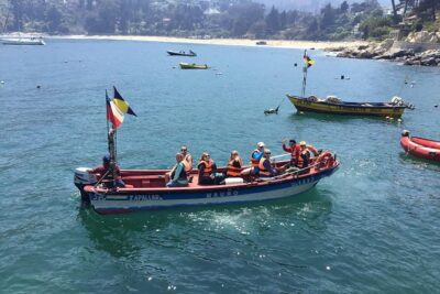 Fr VALPO: WILD PENGUINS, SEALION, SANDBOARD, PARAGLIDING & PICNIC