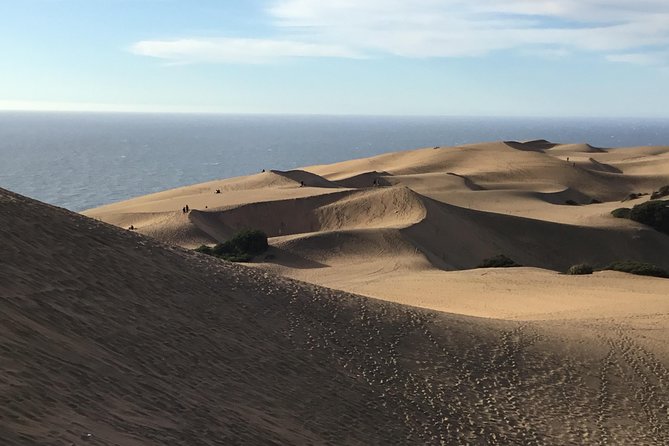 Fr VALPO: WILD PENGUINS, SEALION, SANDBOARD, PARAGLIDING & PICNIC - Concón Dunes turn into a playful final act