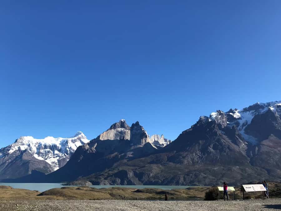 From El Calafate: Torres del Paine Full Day Tour - What the guides and drivers add