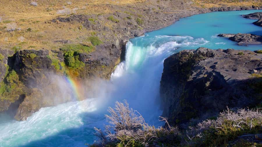 From El Calafate: Torres del Paine Full Day Tour - Price, lunch, and the real value