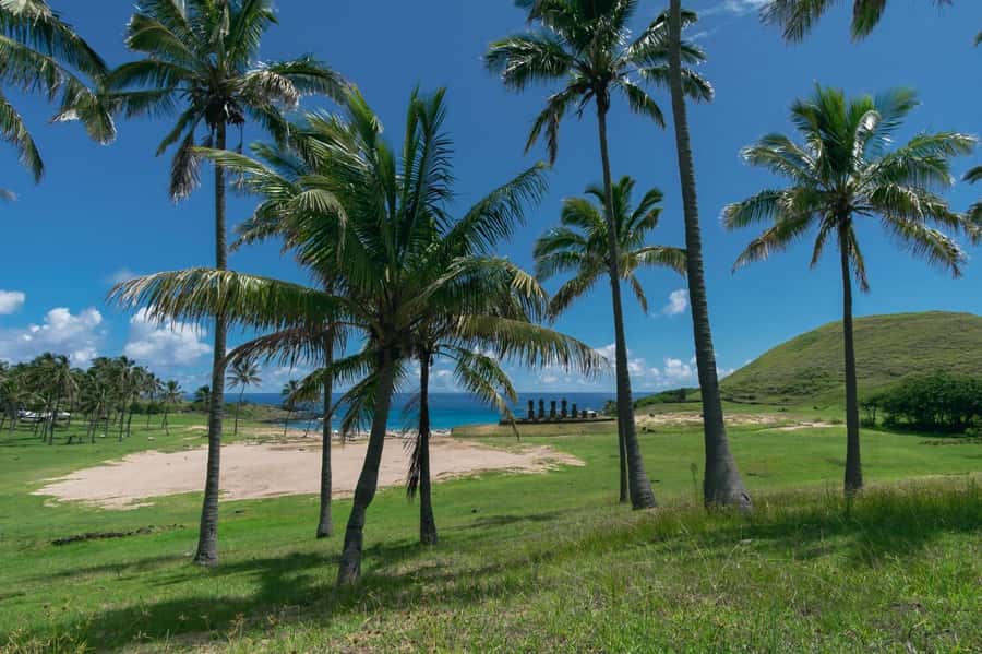 From Hanga Roa: Easter Island Highlights 2-Day Tour - Day One: from toppled moai to the 15 at Tongariki