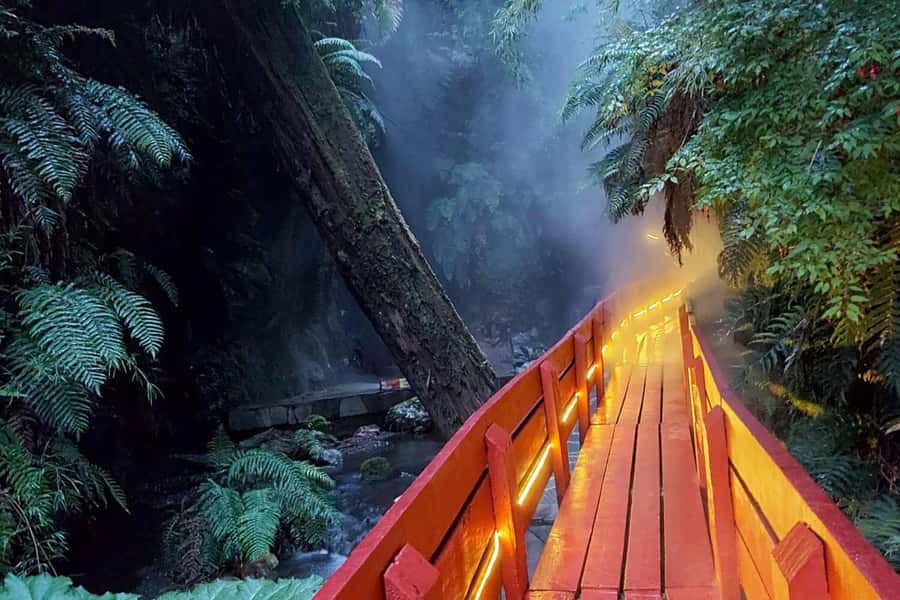 From Pucón: Geometric Hot Springs - Key points to know before booking
