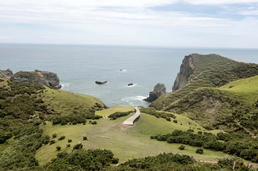 From Puerto Varas: Chiloe Island Full-day Tour - Who should book this Chiloe Island tour?