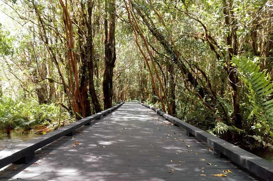 From Puerto Varas: Full Day to Termas del Sol & Cochamo Valley - Four hours at Termas del Sol