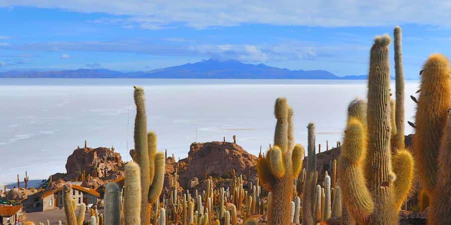From San Pedro de Atacama: 3 days to Uyuni Salt Flat - Day 2: Volcanic rock, wildlife, and the Anaconda Canyon