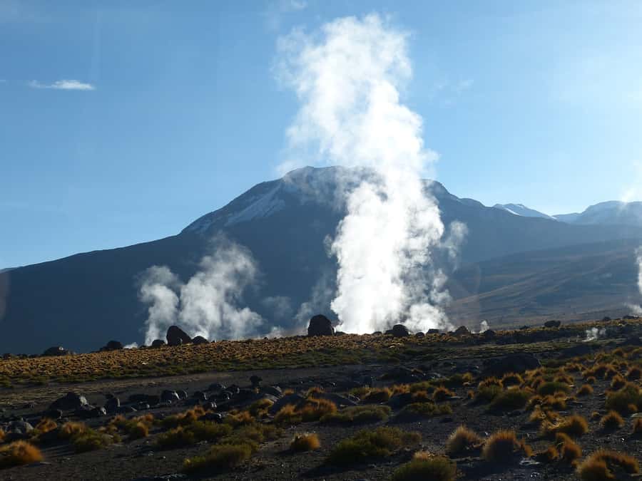 From San Pedro de Atacama: Geysers del Tatio Half-Day Tour - Who should book this outing?