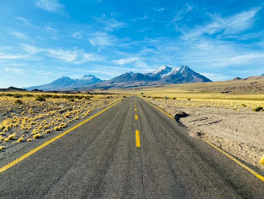 From San Pedro de Atacama: Lagoons and Piedras Reds - Key points to know before booking