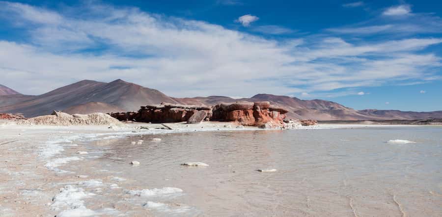 From San Pedro de Atacama: Lagoons and Piedras Reds - Who should book this Atacama tour?