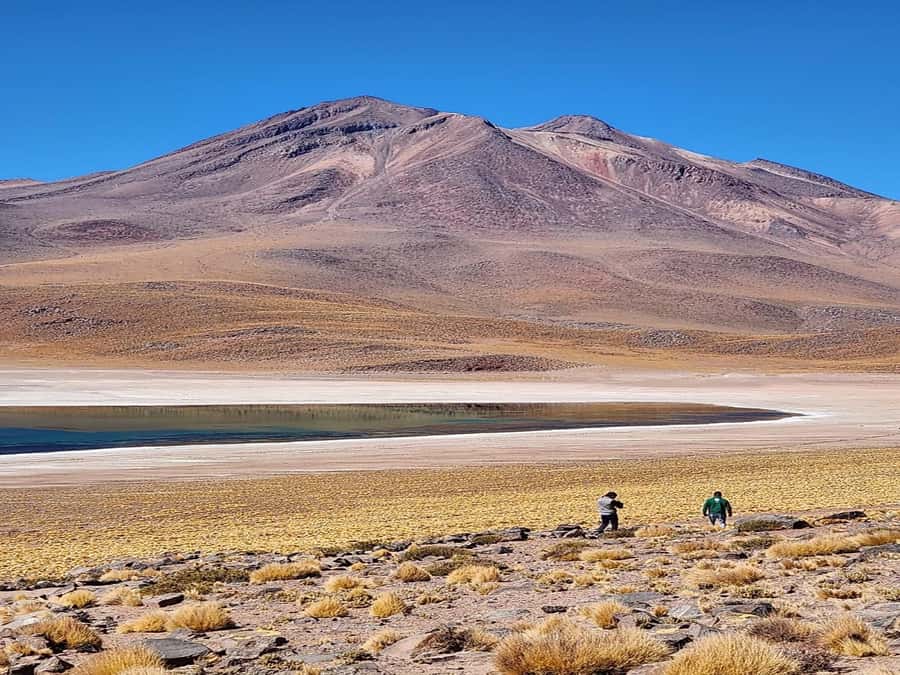 From San Pedro de Atacama: Lagoons and Piedras Reds - A full Atacama day, from salt flats to volcano country