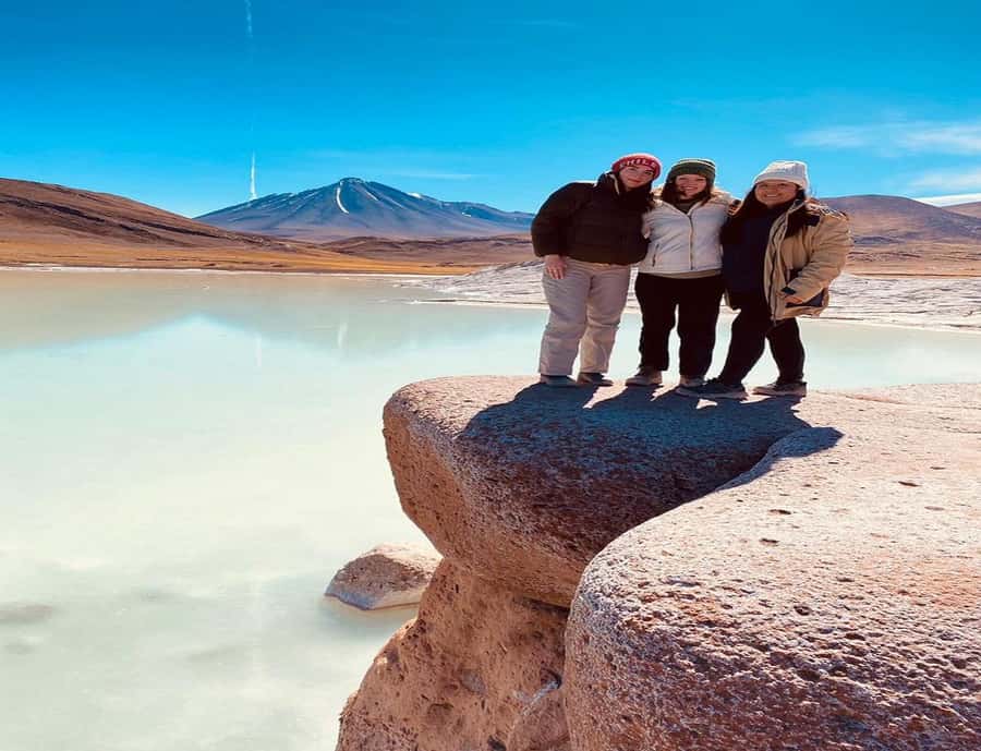 From San Pedro de Atacama: Lagoons and Piedras Reds - Chaxa Lagoon and the salt flat birdlife
