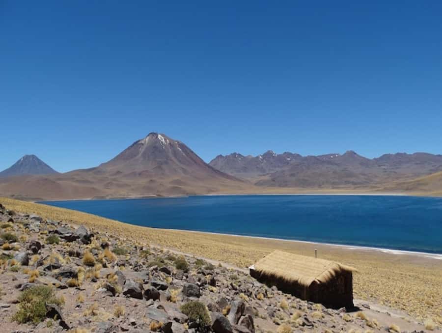From San Pedro de Atacama: Lagoons and Piedras Reds - What the guide and vehicle add