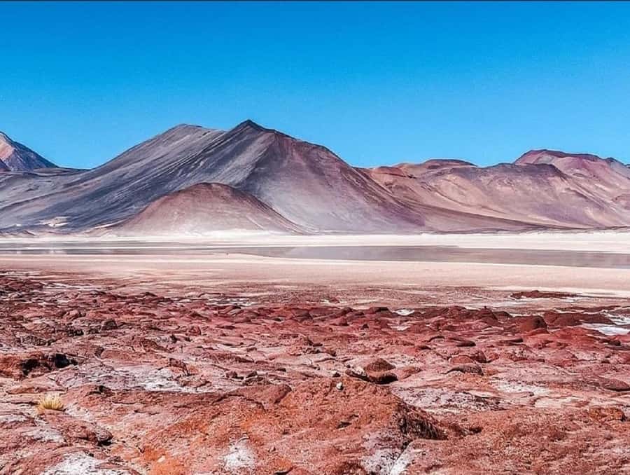 From San Pedro de Atacama: Lagoons and Piedras Reds - Toconao gives the day a human beginning