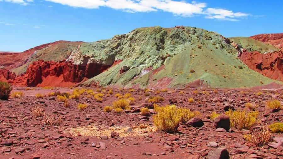 From San Pedro de Atacama: Rainbow Valley Tour - Yerbas Buenas and the 6,000-year-old carvings