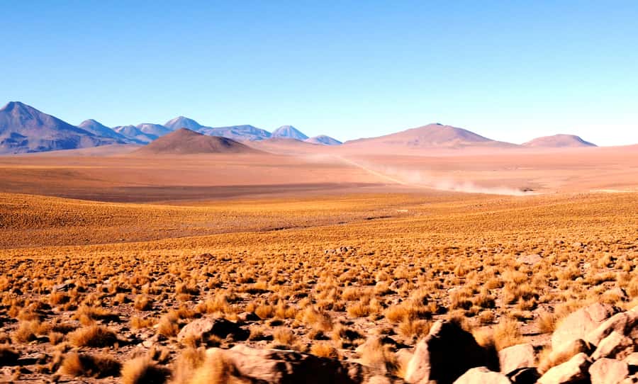 From San Pedro de Atacama: Tatio Geysers and Machuca Tour - Putana Wetland and the Volcano Views