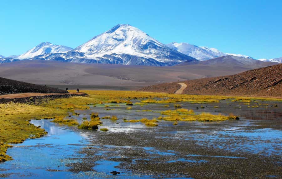 From San Pedro de Atacama: Tatio Geysers and Machuca Tour - Language, Comfort, and Practical Limits
