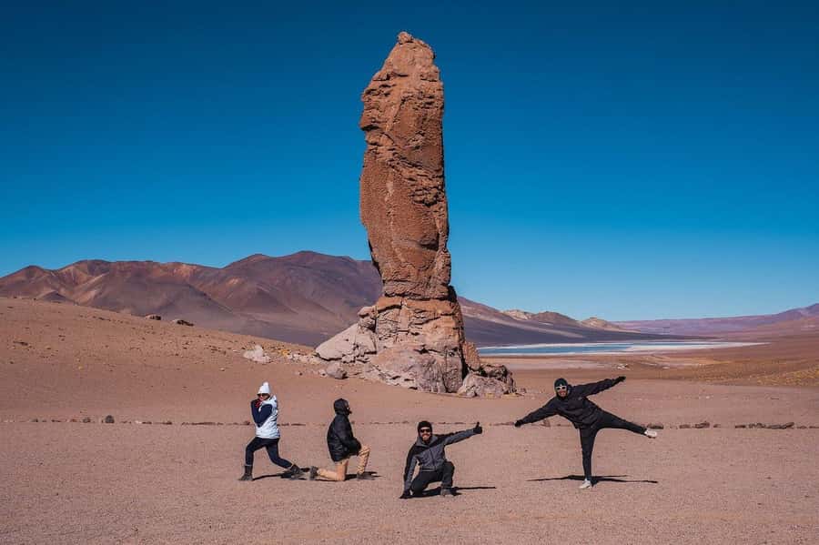 From San Pedro de Atacama: The Salt Flats Route, Full day - Small lakes, flamingos, and high-altitude wildlife