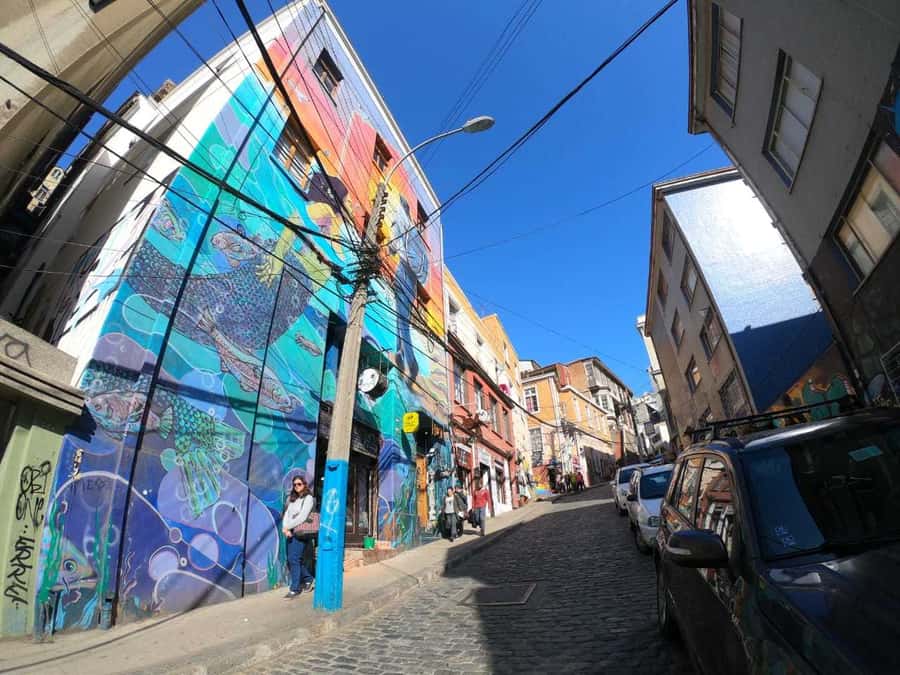 From Santiago: Highlights of Valparaiso and Viña del Mar - The Fonck Museum and the Easter Island Moai