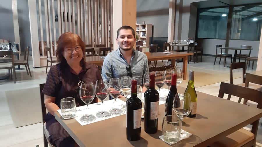 From Santiago: Isla Negra, Pablo Neruda Museum & Winery Tour - Pomaire’s crafts and a flexible lunch stop