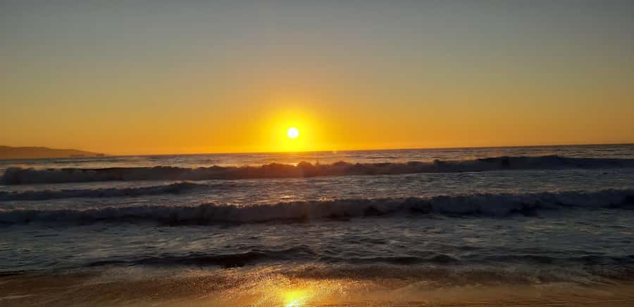From Santiago: Isla Negra, Pablo Neruda Museum & Winery Tour - What the $230 price includes