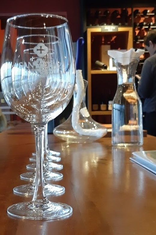 From Santiago: Isla Negra, Pablo Neruda Museum & Winery Tour - Guide quality, languages, and private travel