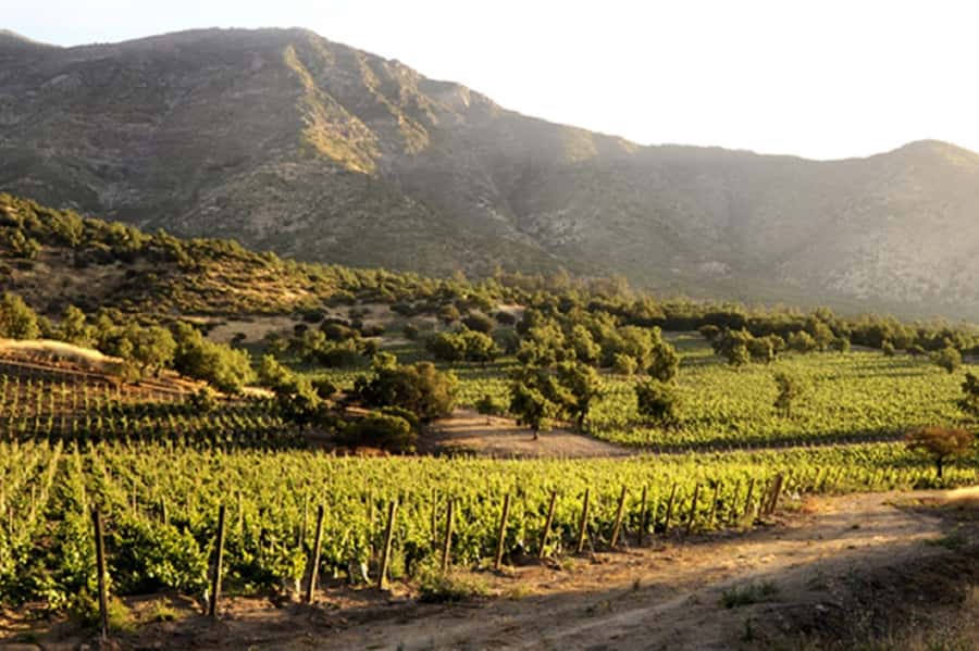 From Santiago: Maipo Valley Wine Tour - Key points at a glance