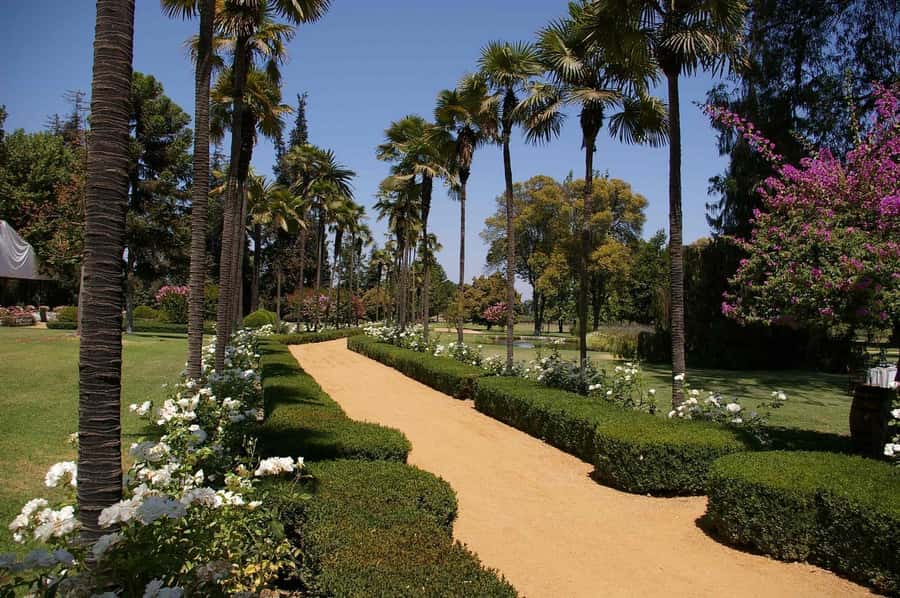 From Santiago: Maipo Valley Wine Tour - Should you book the Maipo Valley wine tour?