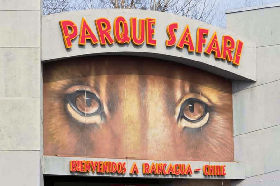 From Santiago: Safari Park, a wild experience - Starting with Chilean countryside breakfast