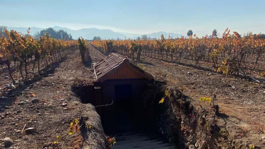 From Santiago: Undurraga Winery Tour with Tasting - Key points to know before booking