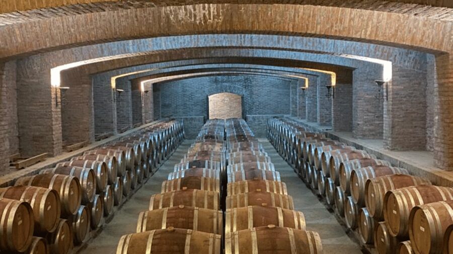 From Santiago: Undurraga Winery Tour with Tasting - Language choices need careful checking
