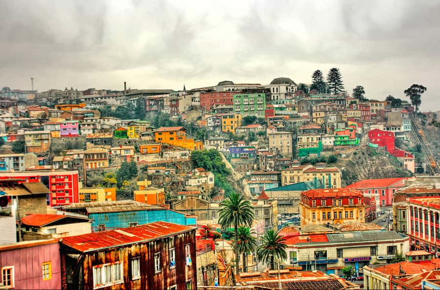 From Santiago: Valparaiso and Viña del Mar Day Tour - First Look at Valparaiso’s Painted Hills