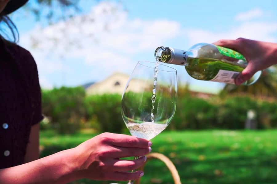 From Santiago: Vineyard, Valparaíso, and Viña del Mar Tour - Why this day trip works from Santiago