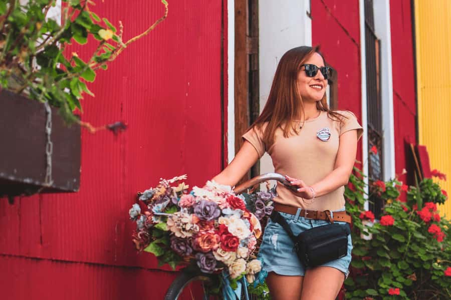 Full Colors: Valparaíso and Viña del Mar - Who will get the most from this tour