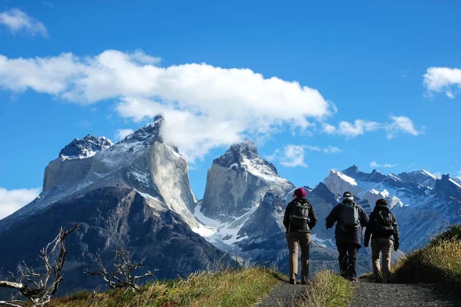 Full-Day Torres del Paine National Park from El Calafate - The early ride across Patagonia