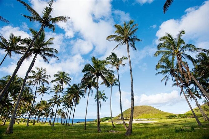 Full day tour - DREAM - Ahu Vaihu and Ahu Akahanga: fallen moai and village remains