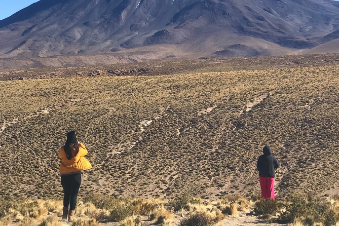 Full Day Tour to Ruta de los Salares - Salar de Aguas Calientes and high-altitude wildlife