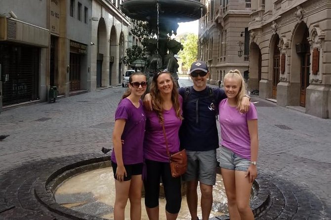 Half-Day Small-Group Panoramic Santiago Tour - How the guide and vehicle affect the experience