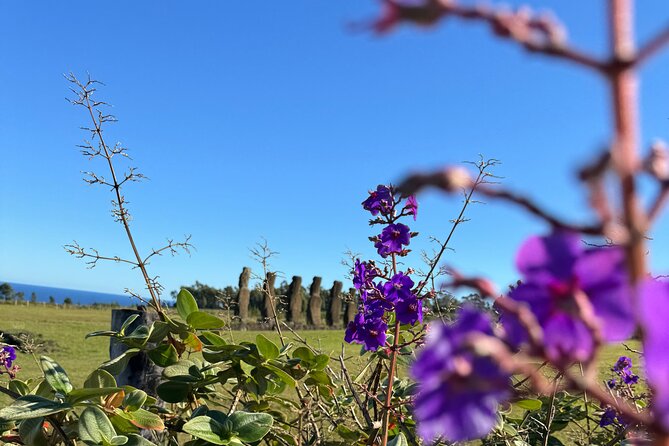 Half Day Tour in Rapa Nui - Why this route adds something beyond the famous moai