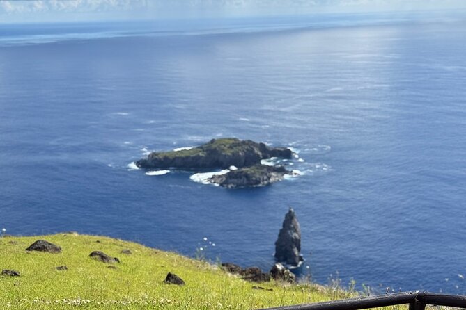 Half Day Tour in Rapa Nui - What the guide adds to the experience