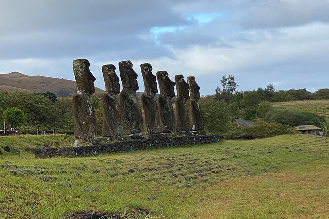 Half Day Tour in Rapa Nui - Timing, food, water, and group size