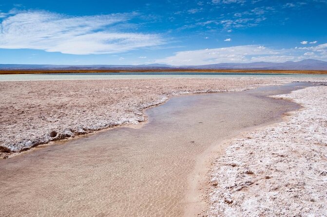 Half-Day Tour to Laguna Cejar - Why floating in saltwater is the main event