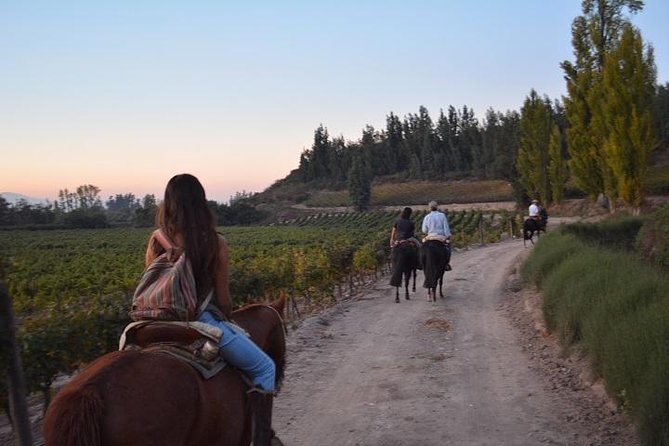 Horseback Private Wine Tour and Country Grill from Santiago - Getting comfortable with your horse