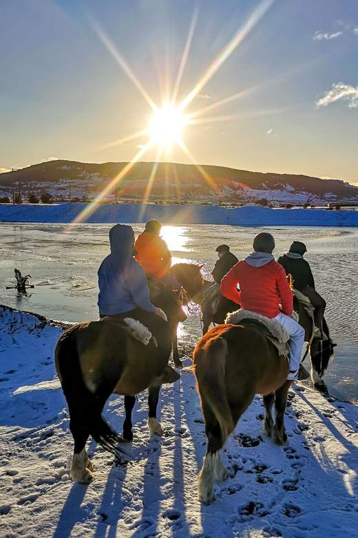 Horseback Riding near Strait of Magellan - Horses, Pace, and Riding Experience