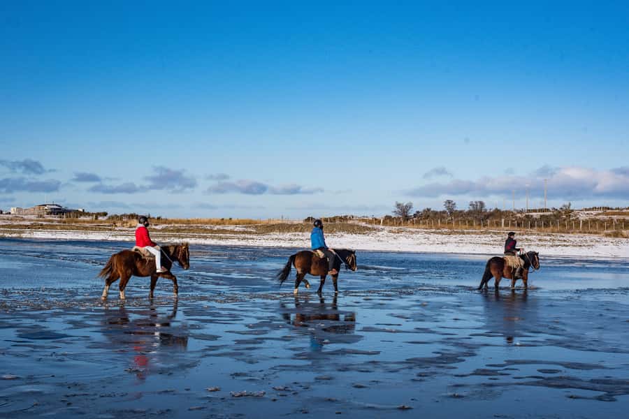 Horseback Riding near Strait of Magellan - Along the Wetland and Strait of Magellan