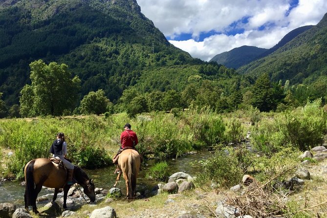Horseback Trailride Excursion - Pastures first, then the Liucura River