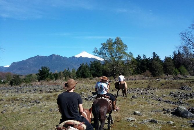 Horseback Trailride Excursion - Horses, guides, and the pace of the ride