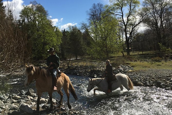 Horseback Trailride Excursion - Forest trails in the Carhuello mountain range