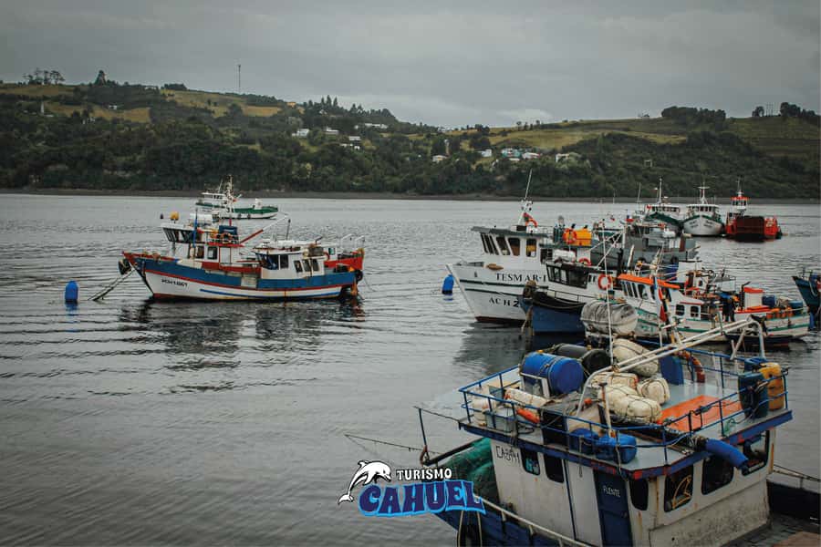 Inner Coast of Chiloé: Road and Sea. - Quemchi, the final city visit