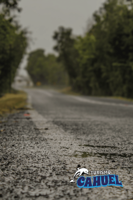 Inner Coast of Chiloé: Road and Sea. - Is $106 a fair price?